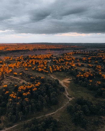 Aerial view of Cannock Chase Forest with golden hour sunlight illuminating the trees and winding paths under a dramatic cloudy sky in Staffordshire England United Kingdom. Aerial view of Cannock Chase Forest with golden hour sunlight illuminating the trees and winding paths under a dramatic cloudy sky in Staffordshire England United Kingdom.