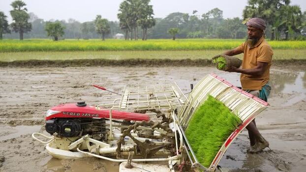 View of a farmer loading rice seedlings into a machine Bangladesh View of a farmer loading rice seedlings into a machine Bangladesh