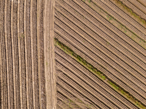 Aerial view of agricultural fields with parallel furrows and a dirt path dividing the cultivated land in Poland.