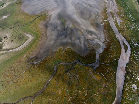 Aerial view of Abstract Tidal Patterns Culbin Sands showing intricate channels salt marshes and sandy textures along the coastline in Nairn Scotland United Kingdom. Aerial view of Abstract Tidal Patterns Culbin Sands showing intricate channels salt marshes and sandy textures along the coastline in Nairn Scotland United Kingdom.