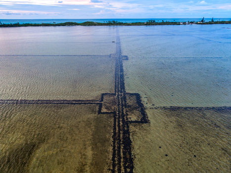 Aerial view of the Salt Pond featuring dark grid patterns in shallow water near the coast in Exuma Exuma The Bahamas.