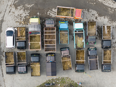 Aerial view of trucks loaded with hay parked at the Animal Market Prambanan on a hexagonal paved ground in Kecamatan Prambanan Jawa Tengah Indonesia. Aerial view of trucks loaded with hay parked at the Animal Market Prambanan on a hexagonal paved ground in Kecamatan Prambanan Jawa Tengah Indonesia.