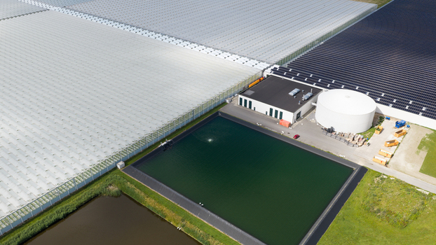 Aerial View of Agrivoltaic Greenhouses in Middenmeer