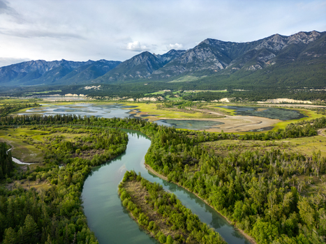 Aerial view of Radium Wetlands Recreation Site with a winding river through lush green wetlands and forests set against mountains in East Kootenay British Columbia Canada.
