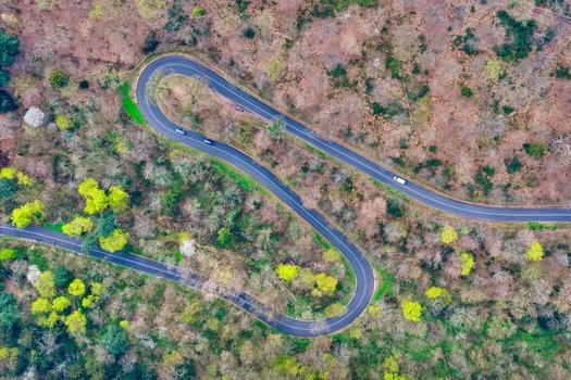 Aerial view of a winding road snaking through a dense forest the asphalt ribbon cutting a path between vibrant green and brown foliage Kintzheim Grand Est France.