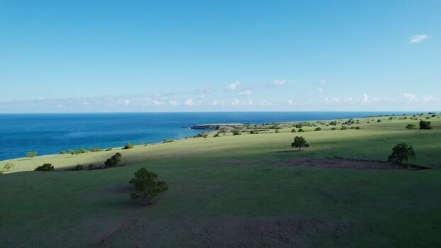 Aerial view of Mausui Savanna and the coast Indonesia. Aerial view of Mausui Savanna and the coast Indonesia.