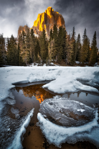 View of Tofana di Rozes peak glowing in golden light reflected in a frozen puddle surrounded by snow and pine trees in Cortina d Ampezzo Veneto Italy.