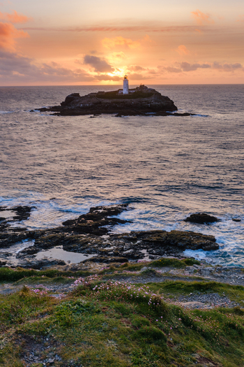 View of Godrevy Lighthouse on a rocky island during a golden sunset with wildflowers on the foreground cliffs in Hayle Cornwall United Kingdom.