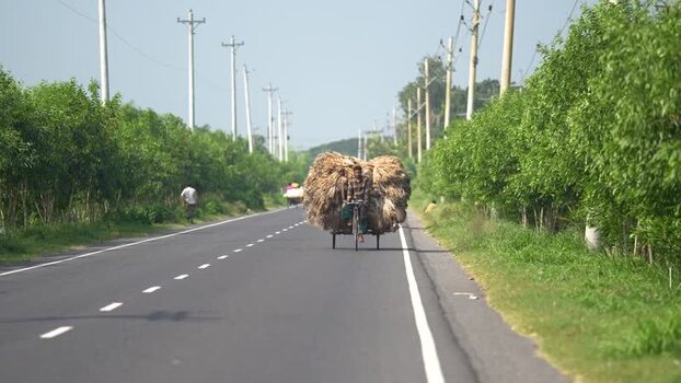 View of a man transporting a large load on a bicycle Bangladesh. View of a man transporting a large load on a bicycle Bangladesh.