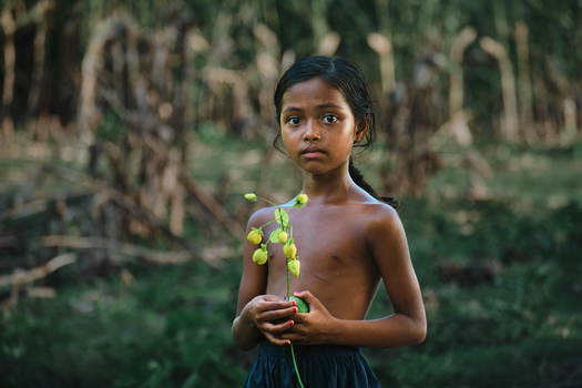 Bogura Bangladesh 26 May 2019 View of a young girl holding a yellow flower in a rural setting with soft natural light.