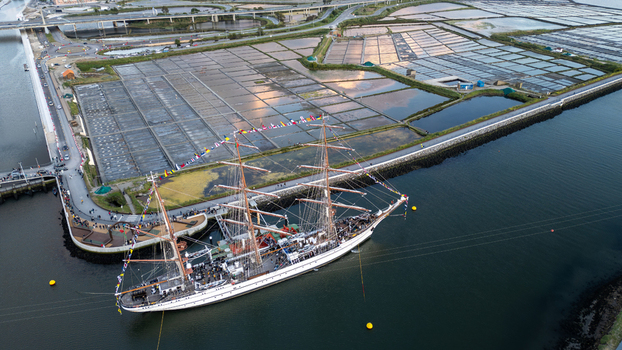 Aerial view of the tall ship NRP Sagres decorated with signal flags navigating the Canal de Aveiro near the salt pans Aveiro Aveiro Portugal. Aerial view of the tall ship NRP Sagres decorated with signal flags navigating the Canal de Aveiro near the salt pans Aveiro Aveiro Portugal.