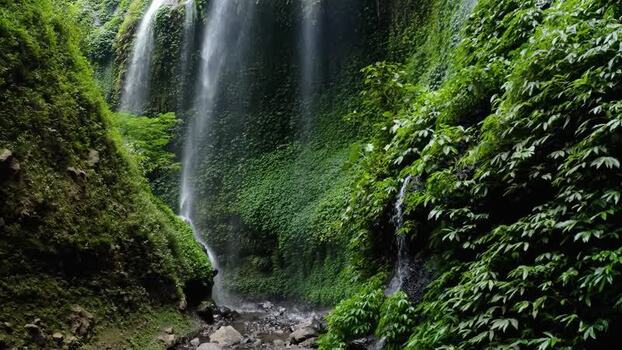 Aerial view of Madakaripura Waterfall and lush green canyon walls Indonesia. Aerial view of Madakaripura Waterfall and lush green canyon walls Indonesia.