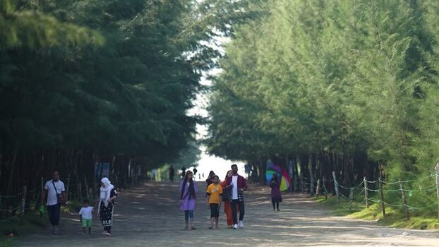 View of people walking through the casuarina forest Bangladesh.