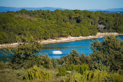 View of a small white boat cuts through the turquoise water framed by verdant trees under a clear sky a serene coastal scene Pula Istria County Croatia.