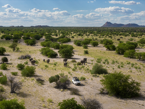 Aerial view of elephants gathering near a white vehicle amidst the arid landscape the sparse vegetation contrasting with the distant mountain Uis Erongo Region Namibia.