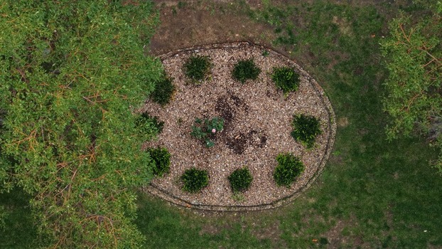 Aerial view of a circular garden bed with gravel small shrubs and a central plant surrounded by grass and trees in Cherry Creek Denver Colorado United States. Aerial view of a circular garden bed with gravel small shrubs and a central plant surrounded by grass and trees in Cherry Creek Denver Colorado United States.