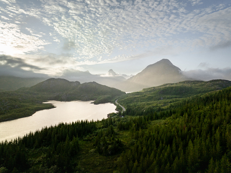 Aerial view of the lush green Lofoten landscape with a serene lake dense pine forests winding roads and majestic mountains under a soft cloudy sky in Lofoten Norway.