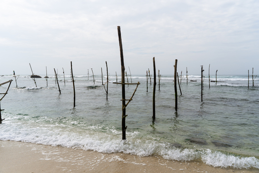 View of traditional stilt fishing poles standing in the shallow waters of the Indian Ocean along the sandy coast in Koggala Southern Province Sri Lanka. View of traditional stilt fishing poles standing in the shallow waters of the Indian Ocean along the sandy coast in Koggala Southern Province Sri Lanka.