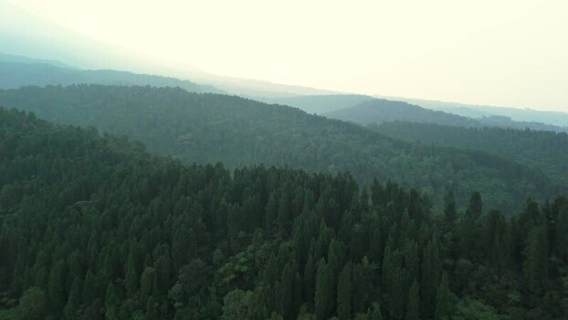 Aerial view of misty forest and rolling hills in Indonesia. Aerial view of misty forest and rolling hills in Indonesia.