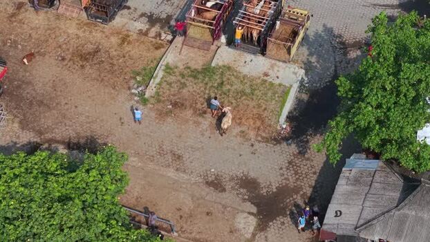 Aerial view of Animal Market Prambanan Indonesia Aerial view of Animal Market Prambanan Indonesia