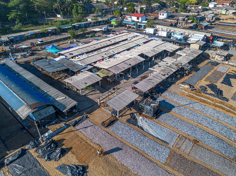 Aerial view of the fish drying area at Negombo Beach with rows of fish laid out on mats under wooden sheds in the coastal town of Negombo Western Province Sri Lanka. Aerial view of the fish drying area at Negombo Beach with rows of fish laid out on mats under wooden sheds in the coastal town of Negombo Western Province Sri Lanka.