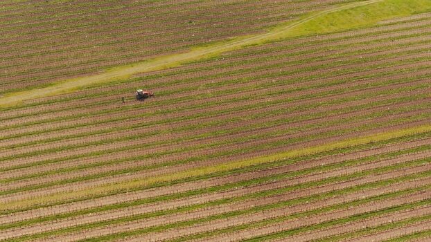 Aerial view of a tractor working in a vineyard Czechia.
