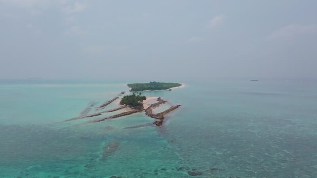 Aerial view of island with lush trees Maldives.