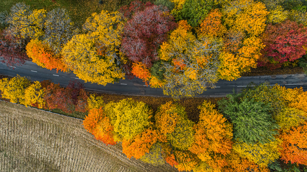 Aerial view of a road winding through a forest with vibrant autumn foliage in Sigulda Sigulda Municipality Latvia. Aerial view of a road winding through a forest with vibrant autumn foliage in Sigulda Sigulda Municipality Latvia.