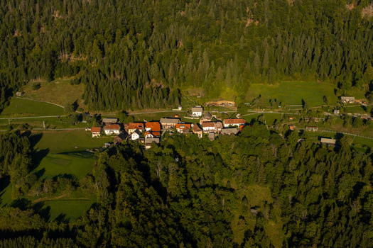 Aerial view of Jamnik village nestled in a lush green forest landscape with traditional houses red rooftops and surrounding meadows Jamnik Kranj Slovenia.