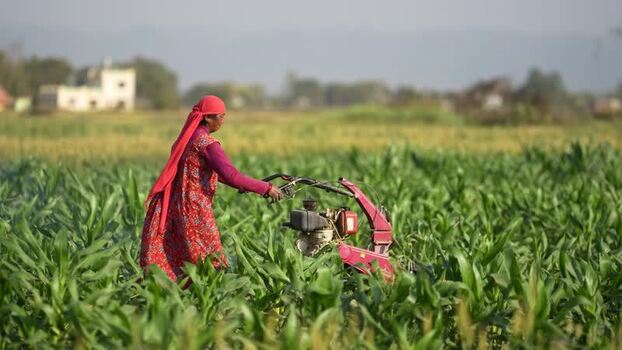 View of a woman operating a motorized tiller in a field Nepal.