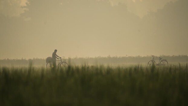 View of a man with a bicycle in a misty field Bangladesh. View of a man with a bicycle in a misty field Bangladesh.