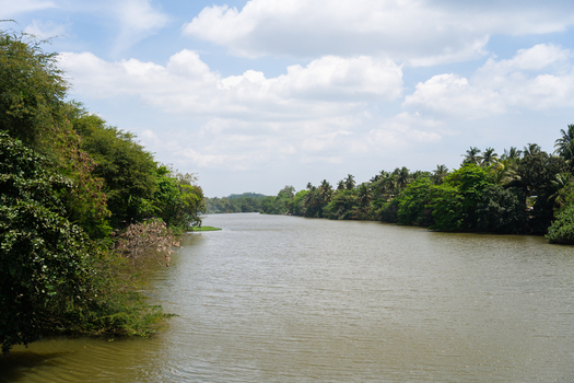 View of the Nilwala River flowing through lush tropical vegetation and palm trees under a cloudy sky in Matara Southern Province Sri Lanka.