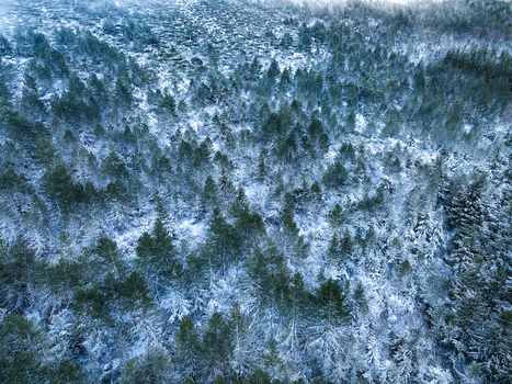 Aerial view of Serra da Estrela mountain range with dense pine trees covered in fresh snow during winter Unhais da Serra Castelo Branco District Portugal. Aerial view of Serra da Estrela mountain range with dense pine trees covered in fresh snow during winter Unhais da Serra Castelo Branco District Portugal.