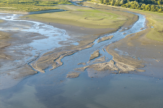 Aerial view of a river delta with intricate water channels exposed sandbars and mudflats surrounded by green vegetation in Poland. Aerial view of a river delta with intricate water channels exposed sandbars and mudflats surrounded by green vegetation in Poland.