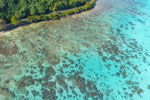 View of a tropical coastline with a winding road lush green vegetation and a vibrant turquoise lagoon filled with coral reefs in Moorea Maiao Windward Islands French Polynesia.
