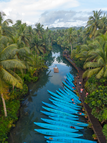 Aerial view of the Maasin River with blue outrigger boats moored along a wooden walkway surrounded by dense palm trees and lush tropical vegetation in Siargao Philippines. Aerial view of the Maasin River with blue outrigger boats moored along a wooden walkway surrounded by dense palm trees and lush tropical vegetation in Siargao Philippines.