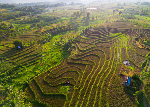 Aerial view of Kemumu rice terraces with lush green paddies rolling hills and small traditional huts under soft morning light in Arma Jaya Bengkulu Indonesia. Aerial view of Kemumu rice terraces with lush green paddies rolling hills and small traditional huts under soft morning light in Arma Jaya Bengkulu Indonesia.