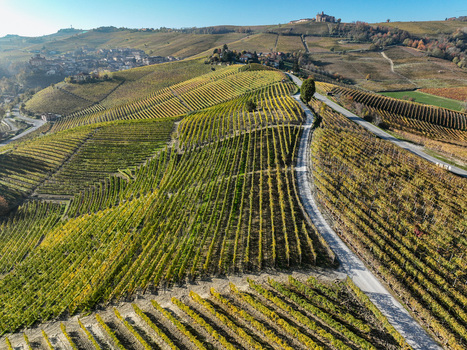 Aerial view of Barolo Cannubi Hill with terraced vineyards a winding road and autumn foliage under a clear sky Barolo Piedmont Italy. Aerial view of Barolo Cannubi Hill with terraced vineyards a winding road and autumn foliage under a clear sky Barolo Piedmont Italy.