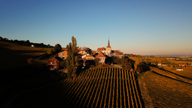Aerial view of the historic Fechy Dessus village with its church spire and traditional houses surrounded by terraced vineyards Fechy Vaud Switzerland.