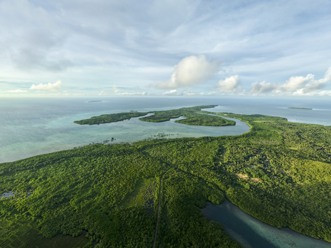 Aerial view of a lush green island meeting turquoise waters under a soft cloud dappled sky Karimunjawa Central Java Indonesia.