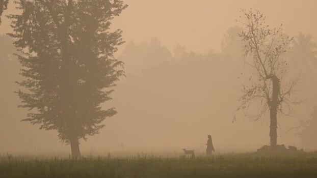 View of a person walking with a goat in a misty field Bangladesh. View of a person walking with a goat in a misty field Bangladesh.