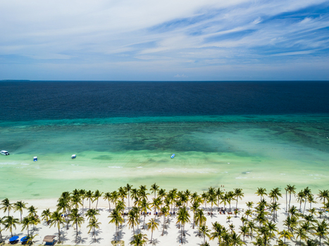 Aerial view of Dumaluan Beach with white sand palm trees turquoise water and small boats in Panglao Central Visayas Philippines.