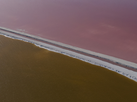 Aerial view of the vibrant pink and brown salt evaporation ponds separated by a narrow salt path at Las Coloradas Yucatan Mexico. Aerial view of the vibrant pink and brown salt evaporation ponds separated by a narrow salt path at Las Coloradas Yucatan Mexico.
