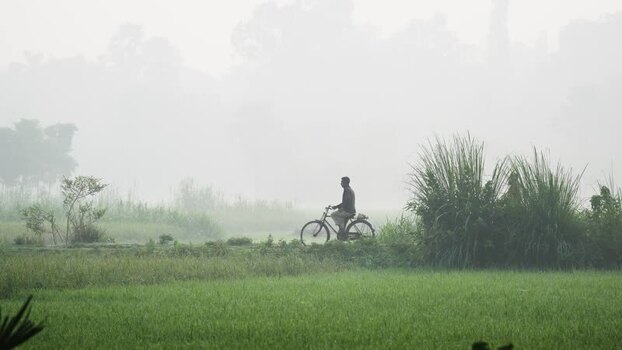 View of a man riding a bicycle through a misty rural field Bangladesh.