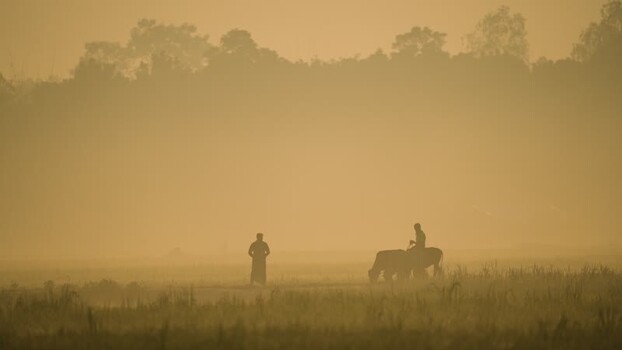 View of farmers with cattle in a misty field at dawn Bangladesh.