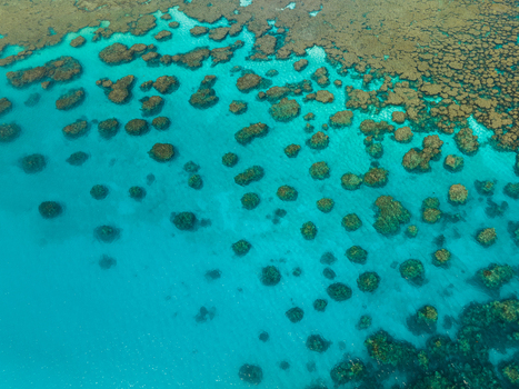 Aerial view of the vibrant coral reefs contrasting with the turquoise waters creating a mesmerizing mosaic of textures and tones Pine Island New Caledonia. Aerial view of the vibrant coral reefs contrasting with the turquoise waters creating a mesmerizing mosaic of textures and tones Pine Island New Caledonia.