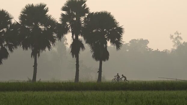 View of children with a bicycle in a misty rural field Bangladesh.
