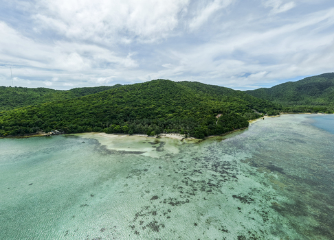 Aerial view of lush green island meeting the turquoise sea Bobby Beach Karimunjawa Central Java Indonesia.