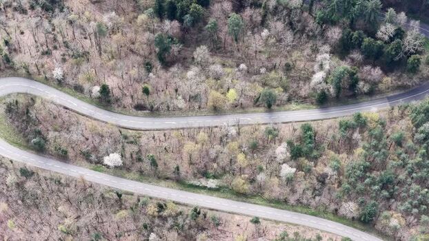 Aerial view of roads through forest France.