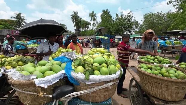 View of people selling green mangoes at a market Bangladesh.